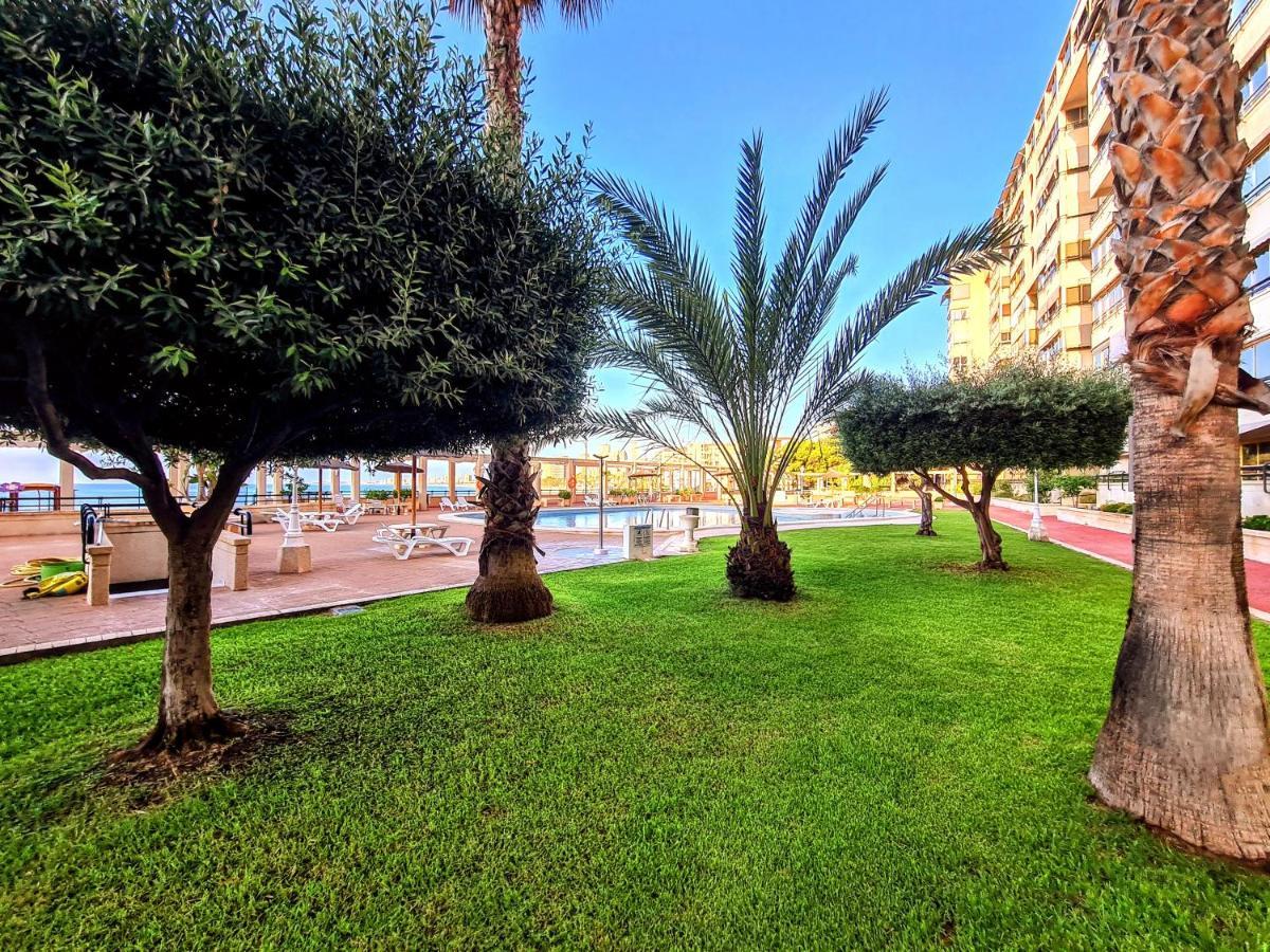Apartamento Del Mar - Playa Muchavista El Campello Zewnętrze zdjęcie